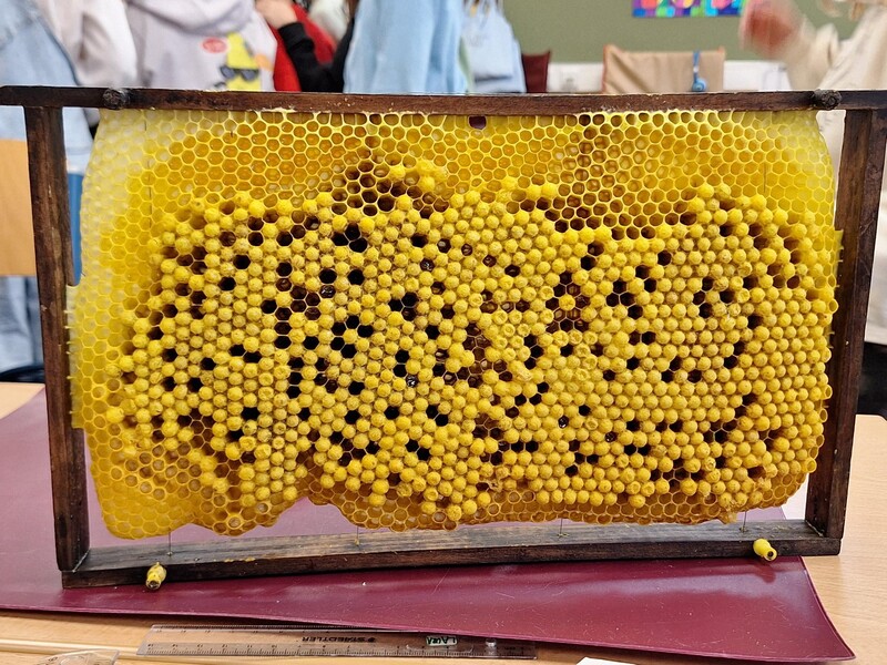 20250505 100424